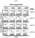 Fig. 05 - Methods of treatment using conditional superagonist CTL ligands for the promotion of tumor-specific CTL responses