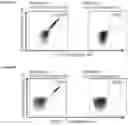 Fig. 34 - Peptides and combination of peptides for use in immunotherapy against various cancers