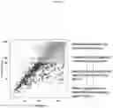 Fig. 04 - NEO-ANTIGEN SPECIFIC T CELLS