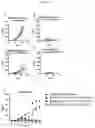 Fig. 06 - NEO-ANTIGEN SPECIFIC T CELLS