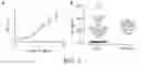 Fig. 02 - Factor H binding proteins (fHbp) with altered properties and methods of use thereof