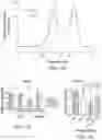 Fig. 08 - Factor H binding proteins (fHbp) with altered properties and methods of use thereof