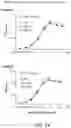 Fig. 28 - Factor H binding proteins (fHbp) with altered properties and methods of use thereof