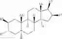 Fig. 05 - Stabilized aqueous compositions of neuromuscular blocking agents