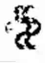 Fig. 02 - Acryloyloxyethylphosphorylcholine Containing Polymer Conjugates And Their Preparation