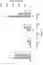 Fig. 09 - CONJUGATES COMPRISING OCULAR ANGIOGENESIS GROWTH FACTOR APTAMERS AND USES THEREOF IN THE DETECTION AND TREATMENT OF OPHTHALMOLOGICAL ANGIOGENESIS INDICATIONS