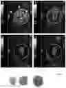 Fig. 07 - MOLECULAR IMAGING CONTRAST AGENTS AND USES THEREOF
