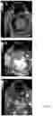 Fig. 08 - MOLECULAR IMAGING CONTRAST AGENTS AND USES THEREOF