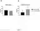 Fig. 06 - Gas-encapsulated acoustically responsive stabilized microbubbles and methods for treating cardiovascular disease