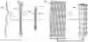 Fig. 01 - LOAD BEARING CROWDED COLLAGEN CONSTRUCTS