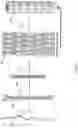 Fig. 02 - LOAD BEARING CROWDED COLLAGEN CONSTRUCTS
