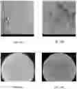Fig. 11 - LOAD BEARING CROWDED COLLAGEN CONSTRUCTS