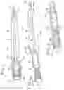 Fig. 02 - Intermittent urinary catheter assembly and an adapter assembly for intermittent urinary catheter