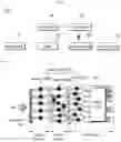 Fig. 05 - Artificial retina system for improving contrast sensitivity