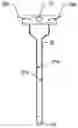 Fig. 01 - Device and method for single-needle in vivo electroporation