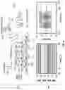 Fig. 05 - Wireless cardiac pace making