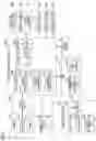 Fig. 02 - OCCUPANT RESTRAINT STRUCTURE