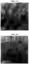 Fig. 02 - Clay-polyacrylate composites suspension via in situ polymerization