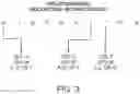 Fig. 04 - METHODS FOR QUANTIFYING EFFICIENCY OF NUCLEIC ACID EXTRACTION AND DETECTION