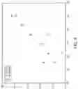 Fig. 07 - METHODS FOR QUANTIFYING EFFICIENCY OF NUCLEIC ACID EXTRACTION AND DETECTION