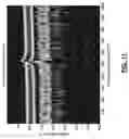 Fig. 13 - Steerable focal adjustment for optical coherence tomography