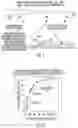 Fig. 02 - CHD risk stratification evaluations for subjects with high levels of large HDL-P