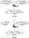Fig. 02 - Melding of mediation flow service component architecture (SCA) components
