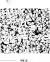 Fig. 06 - Identifying geometrical properties of rock structure through digital imaging
