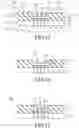 Fig. 08 - Process for making a fingerprint sensor package module and the fingerprint sensor package module made thereby