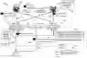 Fig. 01 - Detecting adversarial attacks through decoy training