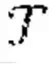 Fig. 09 - Neural trees