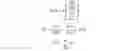Fig. 02 - SYSTEM AND METHOD FOR GENERATING MULTI-FACTOR FEATURE EXTRACTION FOR MODELING AND REASONING