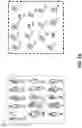 Fig. 03 - Systems and methods for queueing in dynamic transportation networks
