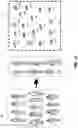 Fig. 04 - Systems and methods for queueing in dynamic transportation networks