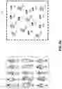 Fig. 06 - Systems and methods for queueing in dynamic transportation networks