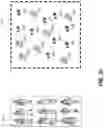 Fig. 08 - Systems and methods for queueing in dynamic transportation networks