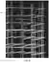 Fig. 09 - Computer aided rebar measurement and inspection system