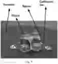 Fig. 06 - System and method for using images from a commodity camera for object scanning, reverse engineering, metrology, assembly, and analysis