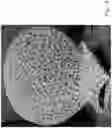 Fig. 15 - System and method for using images from a commodity camera for object scanning, reverse engineering, metrology, assembly, and analysis