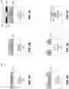 Fig. 03 - Ranking of objects with noisy measurements