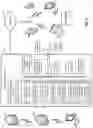 Fig. 03 - 3D radiomic platform for imaging biomarker development