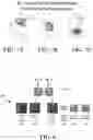 Fig. 07 - Method and apparatus for selecting slide media image read location