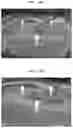 Fig. 32 - Normalized metadata generation device, object occlusion detection device and method