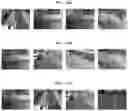 Fig. 40 - Normalized metadata generation device, object occlusion detection device and method