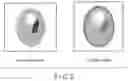 Fig. 09 - Medical information processing apparatus