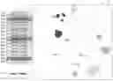 Fig. 01 - Visualization of user intent in virtual agent interaction
