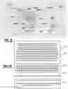 Fig. 24 - Managing detected obstructions in air traffic control systems for passenger drones