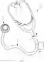 Fig. 02 - METHOD AND APPARATUS FOR AUSCULTATION TRAINING