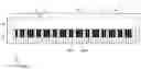 Fig. 01 - Switching device for electronic musical instrument