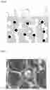 Fig. 02 - METHOD OF PRODUCING VIBRATION DAMPING AND SOUND ABSORBING FOAM